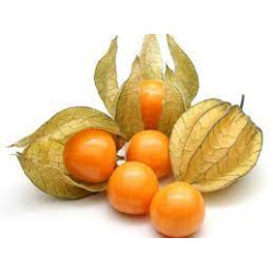 Physalis par 350gr