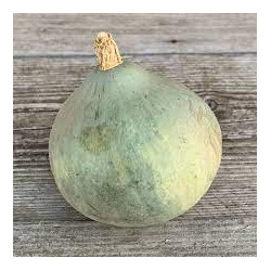 courge potimarron blue ballet