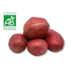 Pomme de terre  Alouette