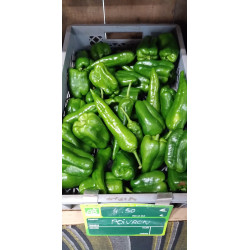 Poivron vert et coloré par...