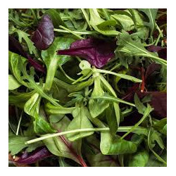 Mesclun