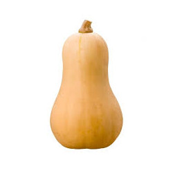 Courge butternut