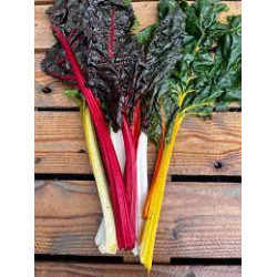 Blette de couleur (jaune)...