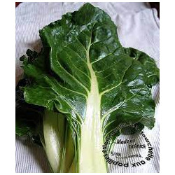 Blette carde blanche par 500gr