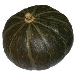 Courge potimaron vert
