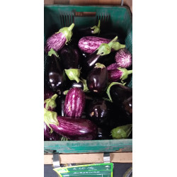 Aubergines noire et zebré