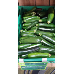 Courgettes vertes