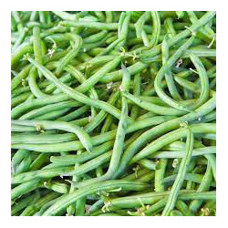 Haricot vert par 500gr